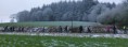 /album/a21-janvier-2016-rando-bais/a2016-01-21-rando-bais-111r-1280x481-jpg/